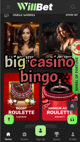 Big Casino Bingo - Large-Scale Bingo Games-casinoorder.vip