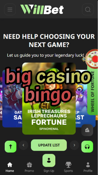 Big Casino Bingo - Large-Scale Bingo Games-casinoorder.vip
