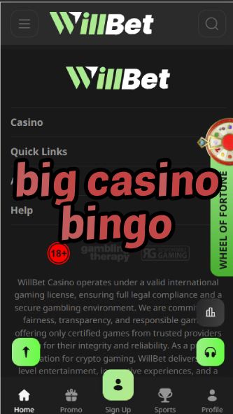 Big Casino Bingo - Large-Scale Bingo Games-casinoorder.vip