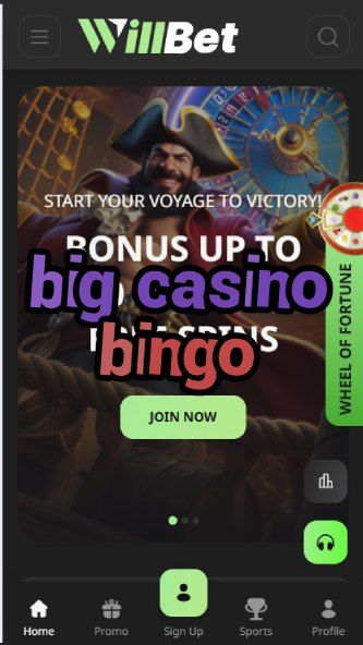 Big Casino Bingo - Large-Scale Bingo Games-casinoorder.vip